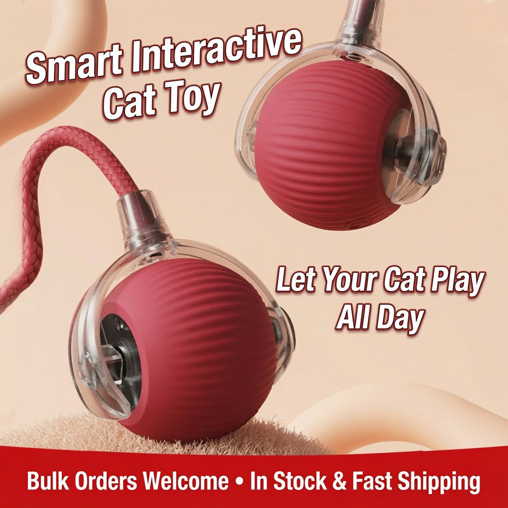 Automatic Self-Rolling Cat Toy Ball with Rope, Bite Resistant Bouncing Interactive Pet Ball for Indoor Kitten & Cat Self Play