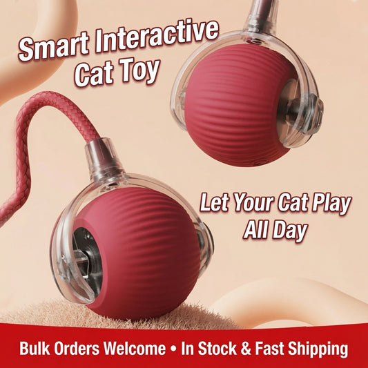 Automatic Self-Rolling Cat Toy Ball with Rope, Bite Resistant Bouncing Interactive Pet Ball for Indoor Kitten & Cat Self Play