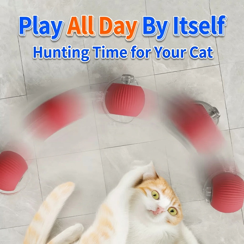 Automatic Self-Rolling Cat Toy Ball with Rope, Bite Resistant Bouncing Interactive Pet Ball for Indoor Kitten & Cat Self Play