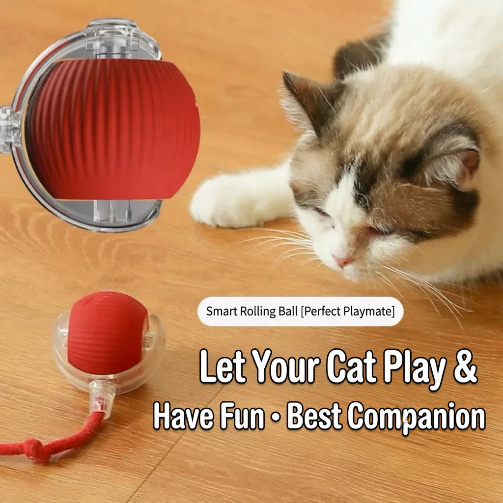 Automatic Self-Rolling Cat Toy Ball with Rope, Bite Resistant Bouncing Interactive Pet Ball for Indoor Kitten & Cat Self Play